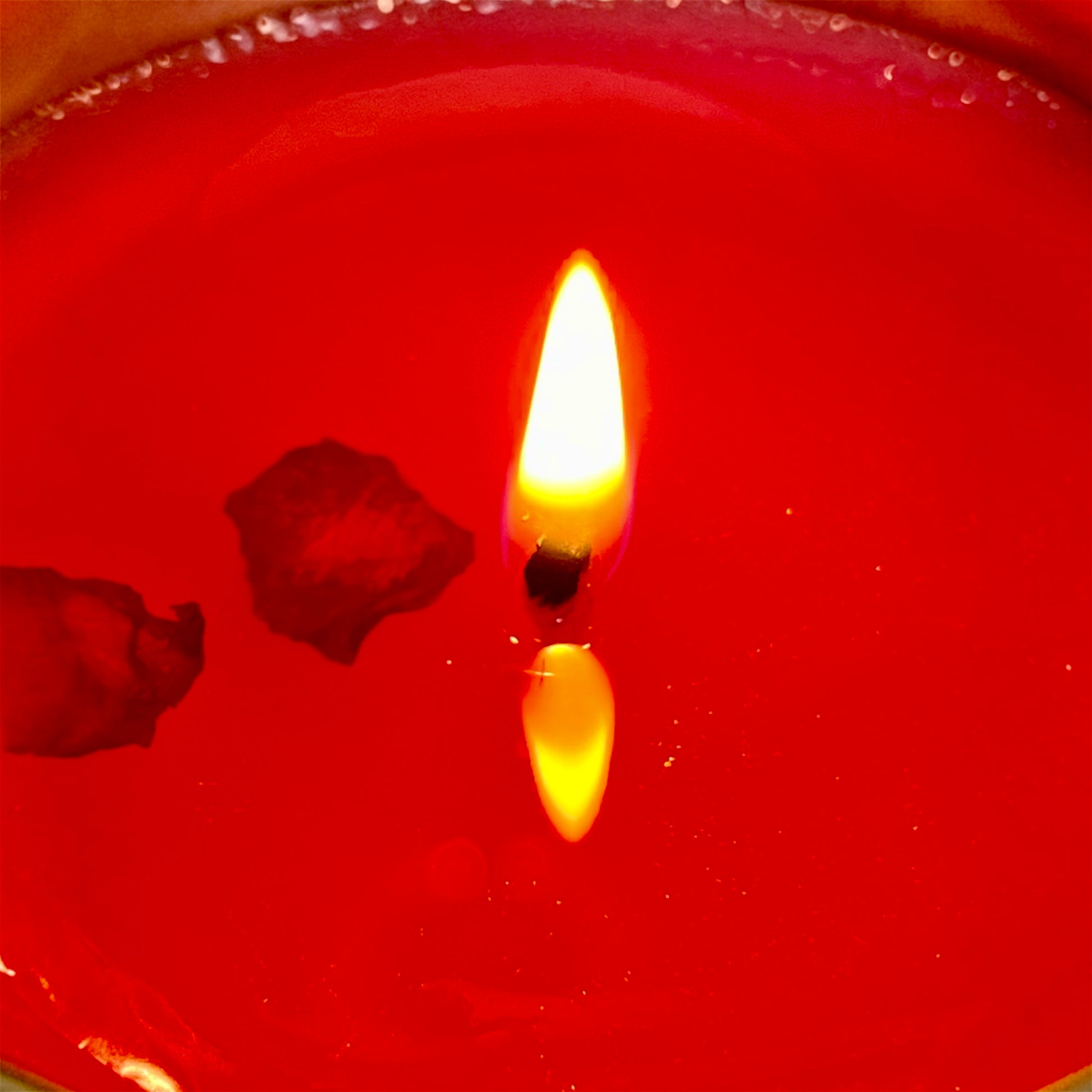 Close-up of candle flame burning in Blushing Rose Noir luxury soy candle with rose petal accents