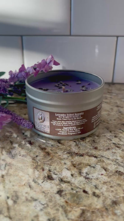 Lavender Velvet Serenity